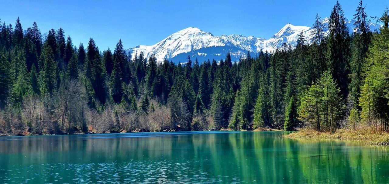 Stilvolle Ferienwohnung Direkt An Der Skipiste Flims Zewnętrze zdjęcie